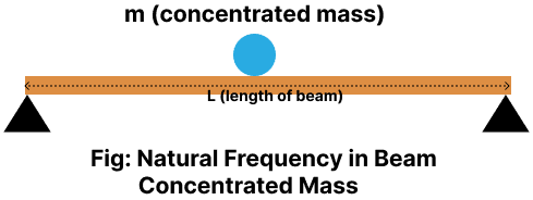 Beam with Concentrated Mass
