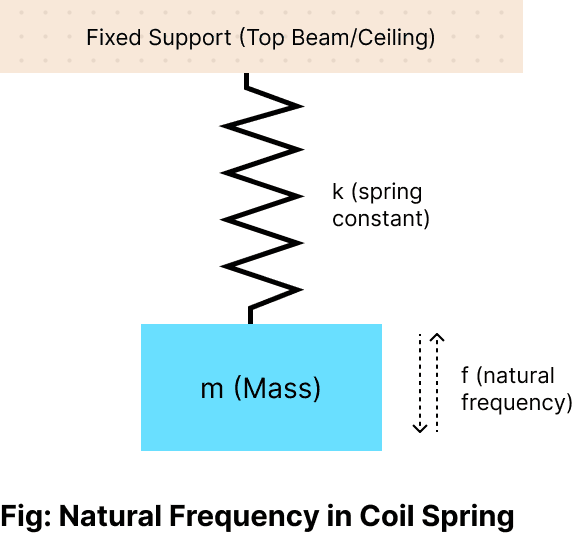Coil Spring-Mass System
