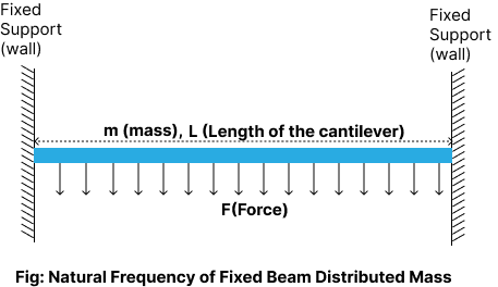 Fixed Beam with Distributed Mass